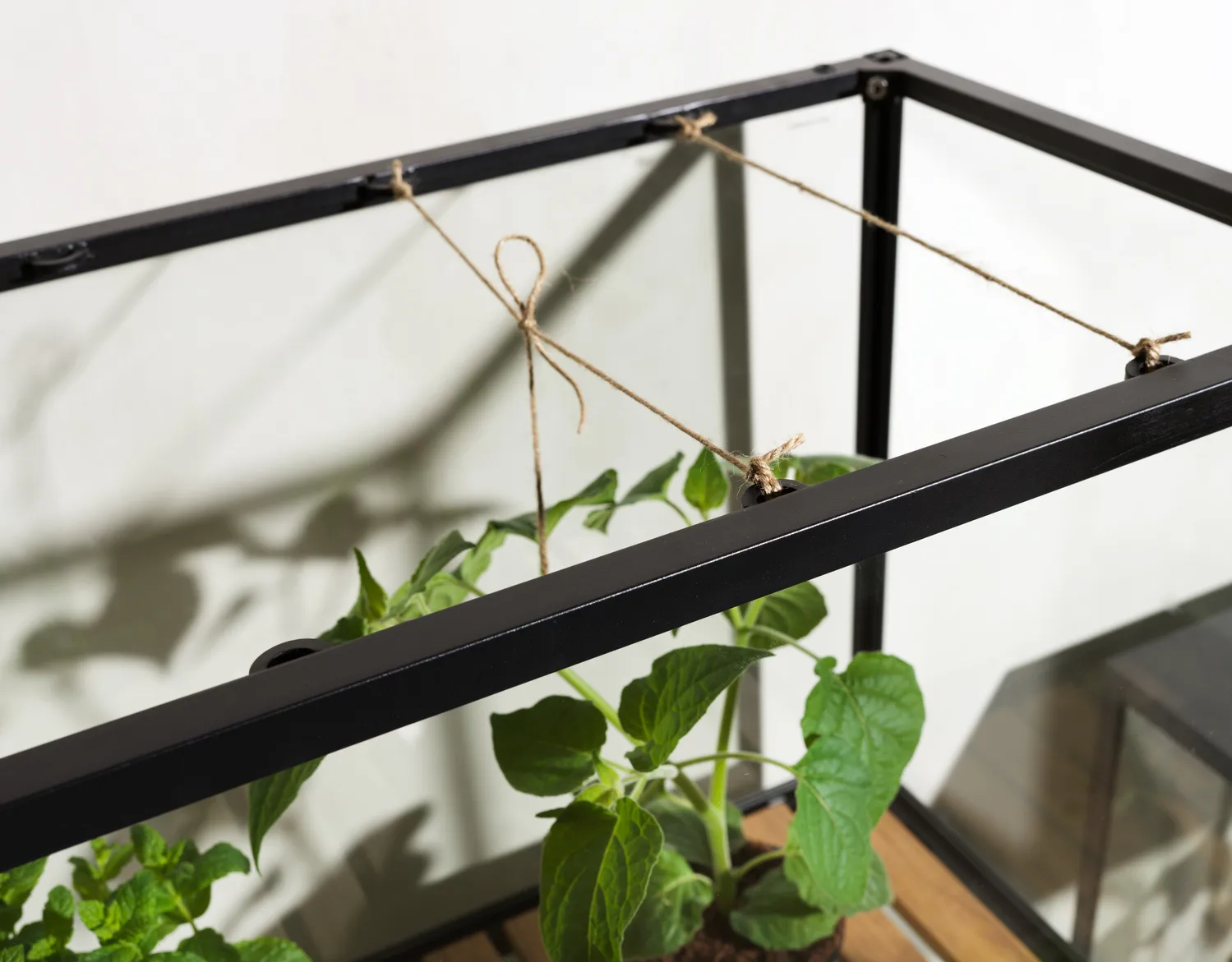 Grower Greens planteskab, Sort, 81x137 cm Brafab