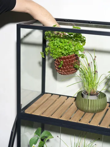 Grower Greens planteskab - Sort, 81x137 cm - Brafab