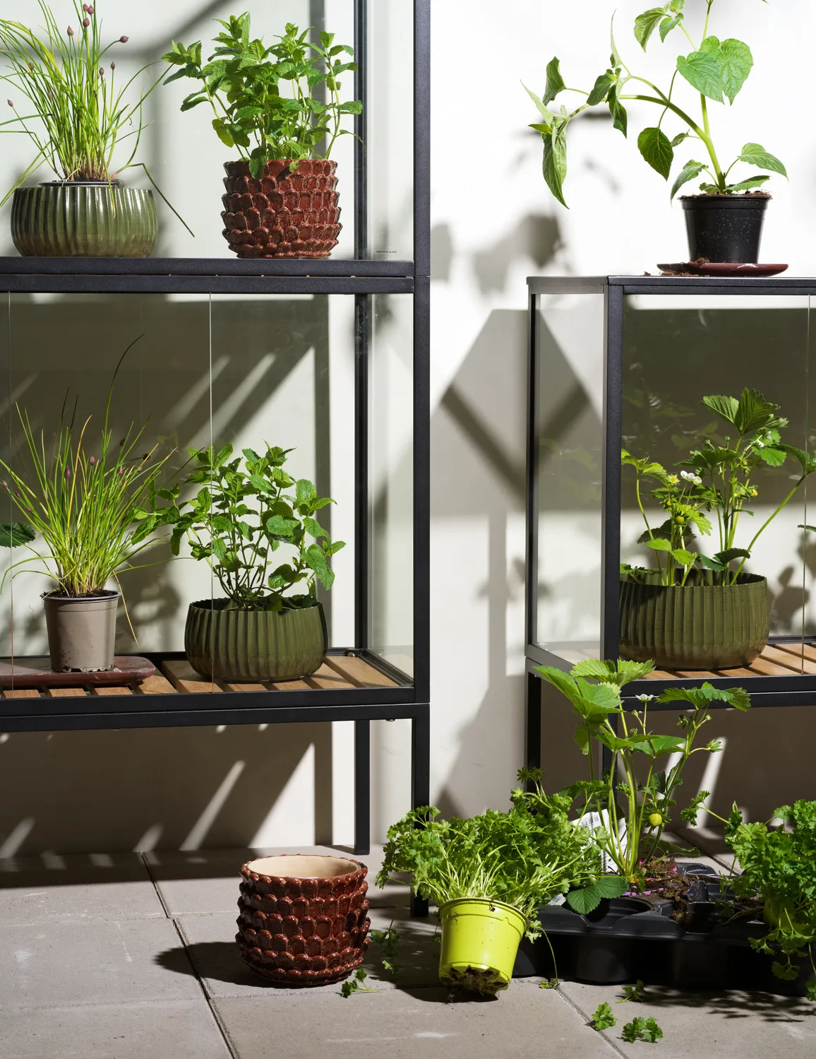 Grower Greens planteskab, Sort, 81x82 cm Brafab