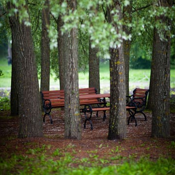 Byarum bænk - Brunlaseret fyr, sort stativ - Byarums bruk