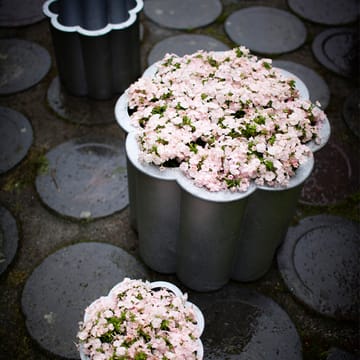 Gråtsippa krukke - Aluminium sandstøbt, nr. 1 Ø33 cm - Byarums bruk