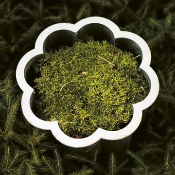 Gråtsippa krukke - Aluminium sandstøbt, nr. 2 Ø41 cm - Byarums bruk