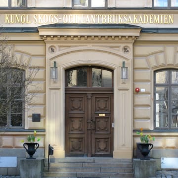 Prakturna krukke Ø55 cm - Sort - Byarums bruk