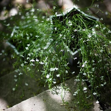Stjärnkruka krukke - Aluminium, høj Ø30 cm - Byarums bruk
