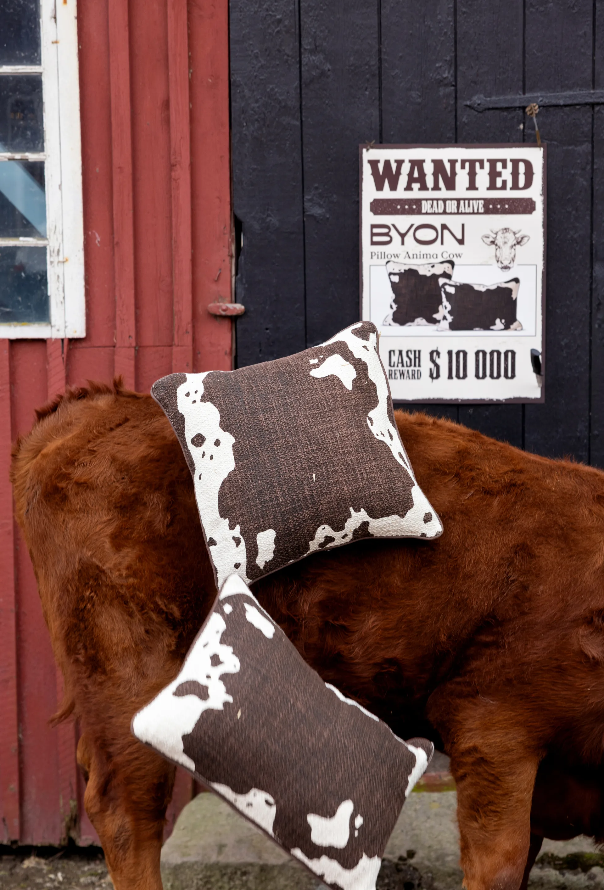 Anima pude L 40x60 cm, Ko Byon