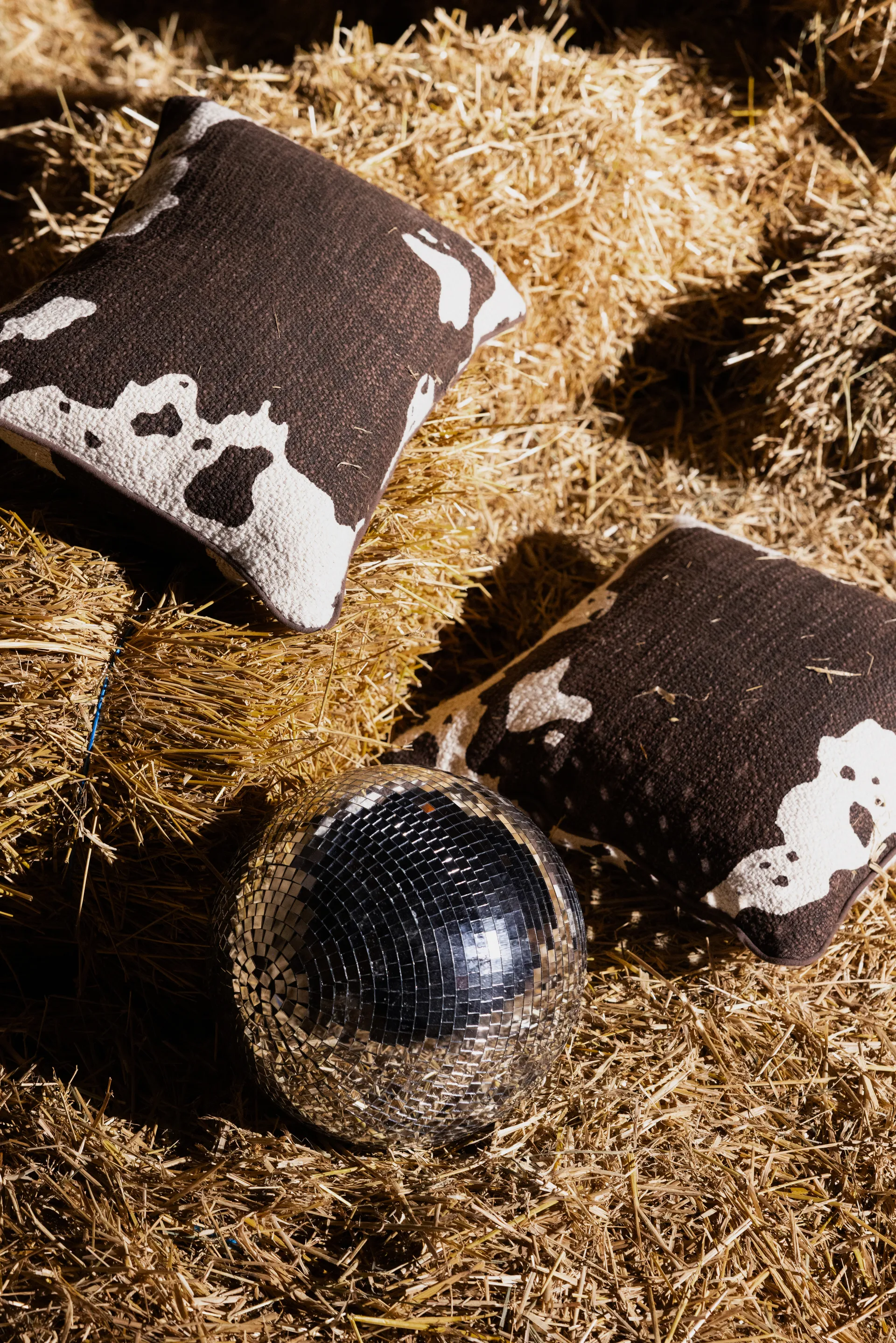 Anima pude M 50x50 cm, Ko Byon