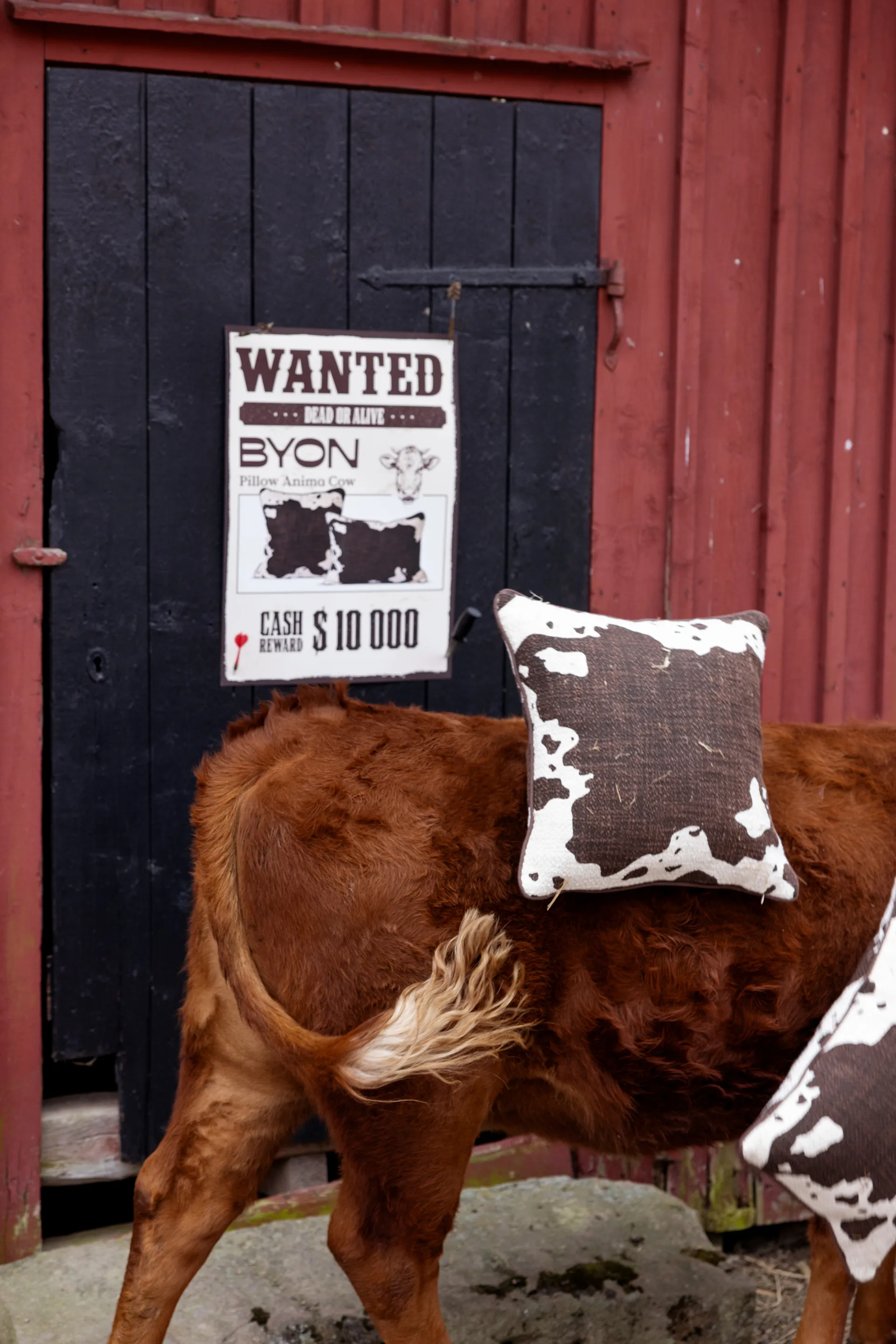 Anima pude M 50x50 cm, Ko Byon