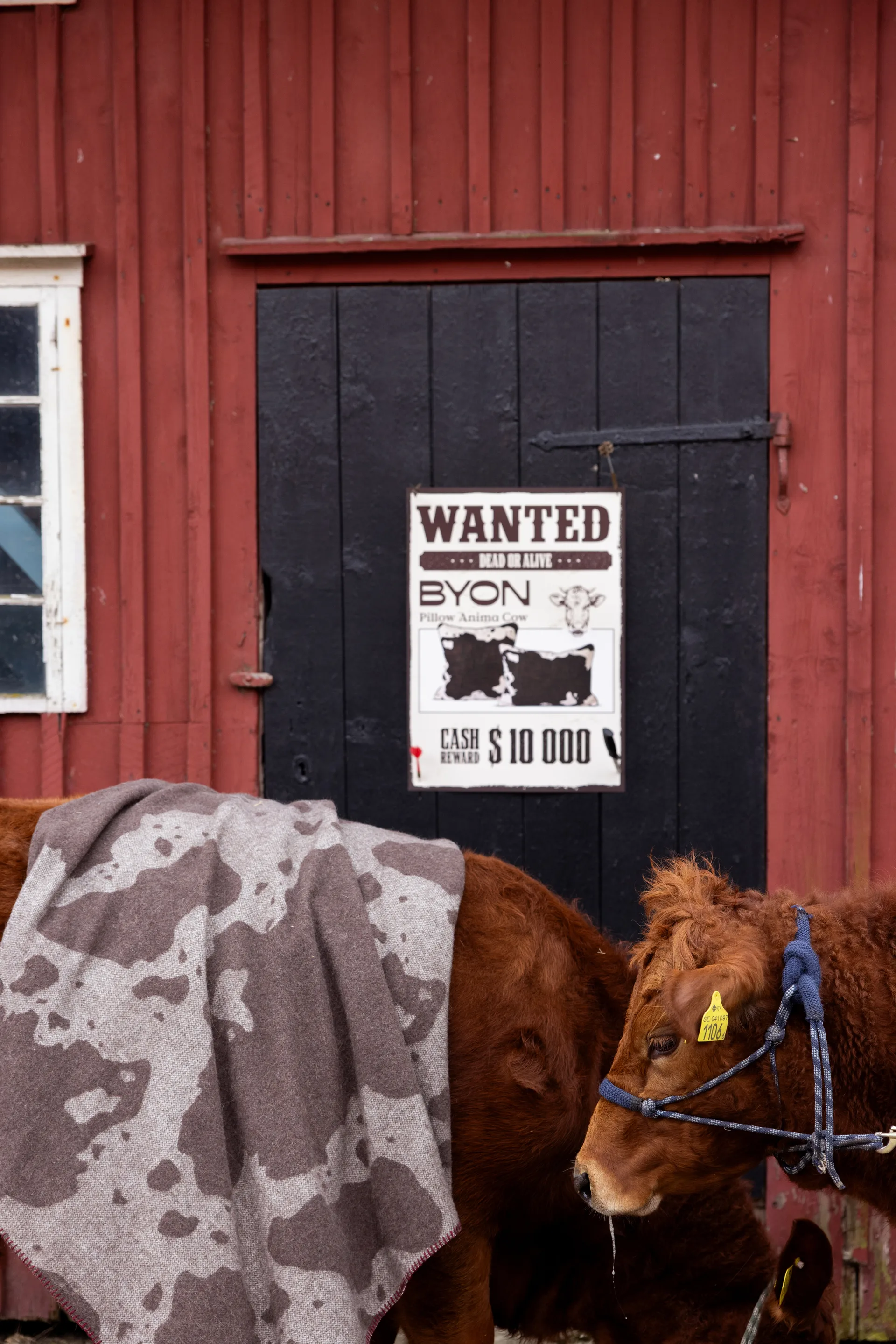 Anima tæppe 130x200 cm, Ko Byon