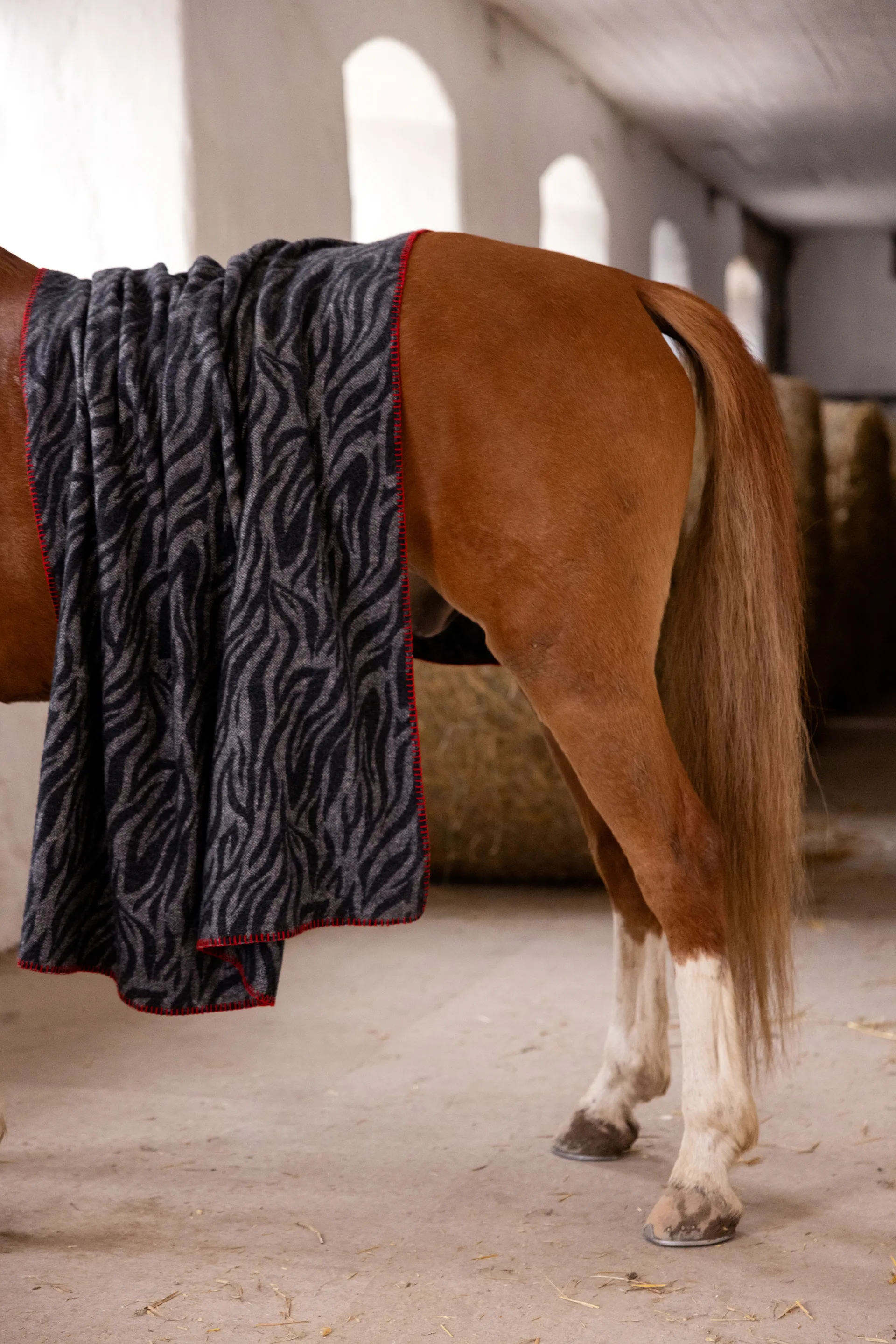 Anima tæppe 130x200 cm, Zebra Byon