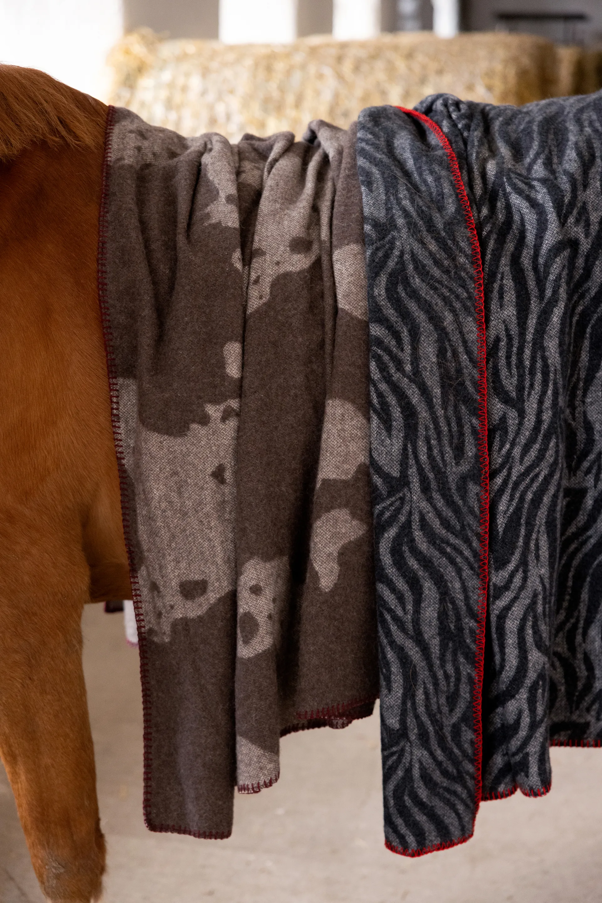 Anima tæppe 130x200 cm, Zebra Byon