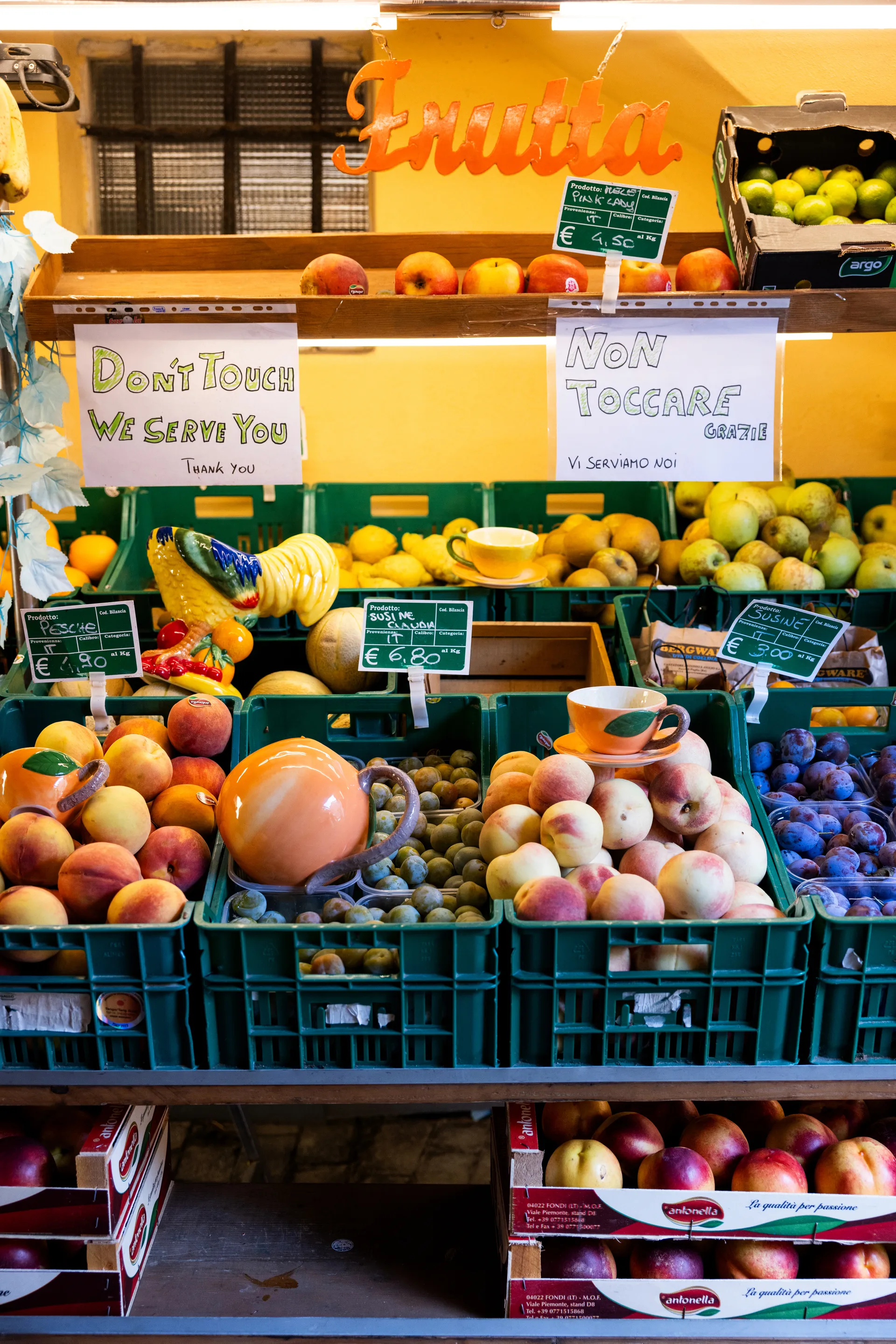 Peach kande 1,8 L, Orange Byon