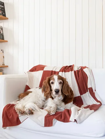 Square plaid 130x170 cm - Mørk Brown - Classic Collection