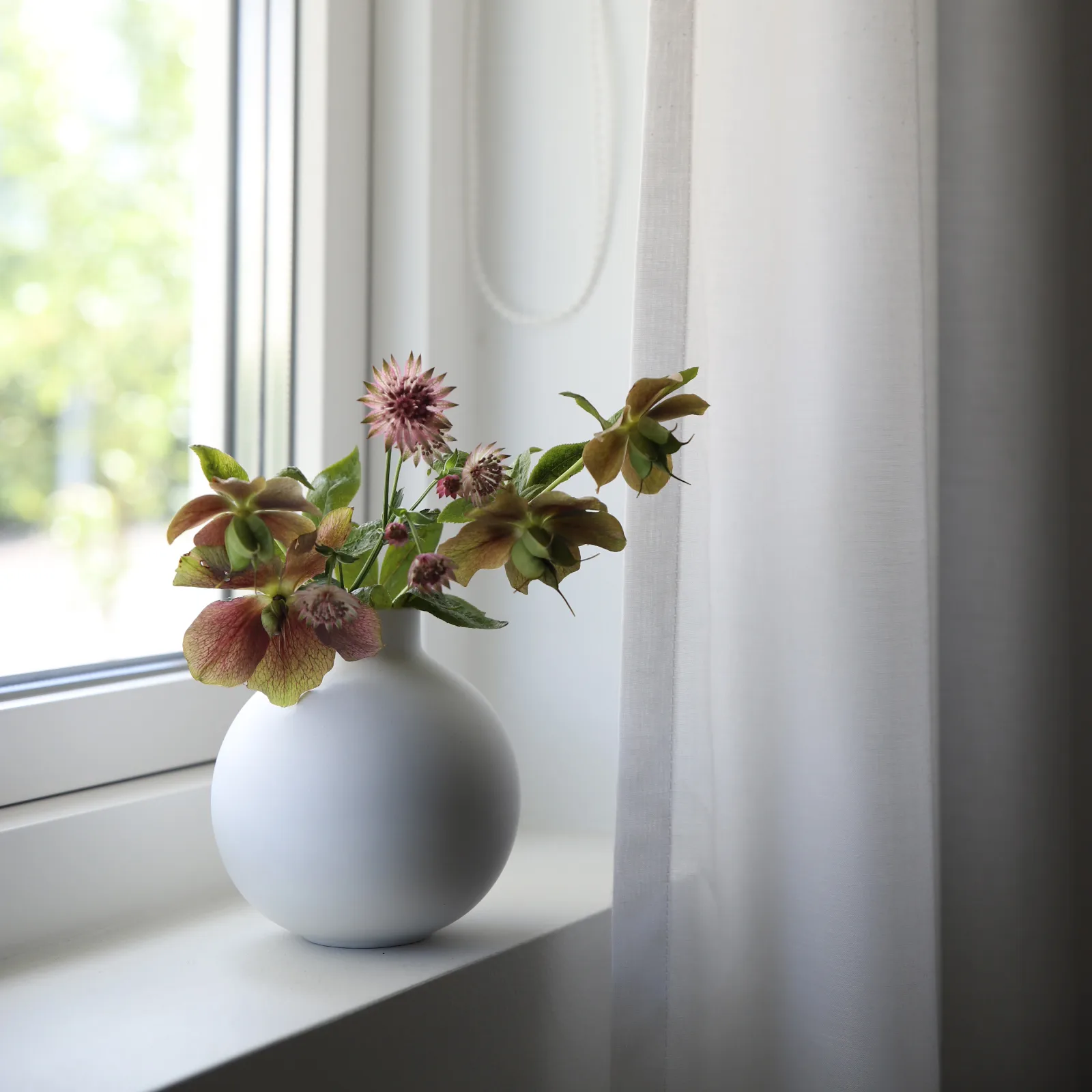 Collar vase 12 cm, white Cooee Design