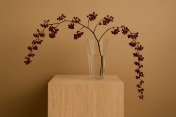 Liliané vase 28 cm - Clear - Cooee Design