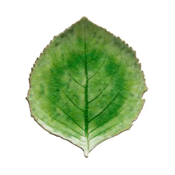 Riviera Hydrangea fad - Tomato, 22 cm - Costa Nova
