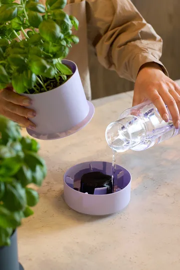 Billund selvvandende urtepotte - Lavender - Crushgrind