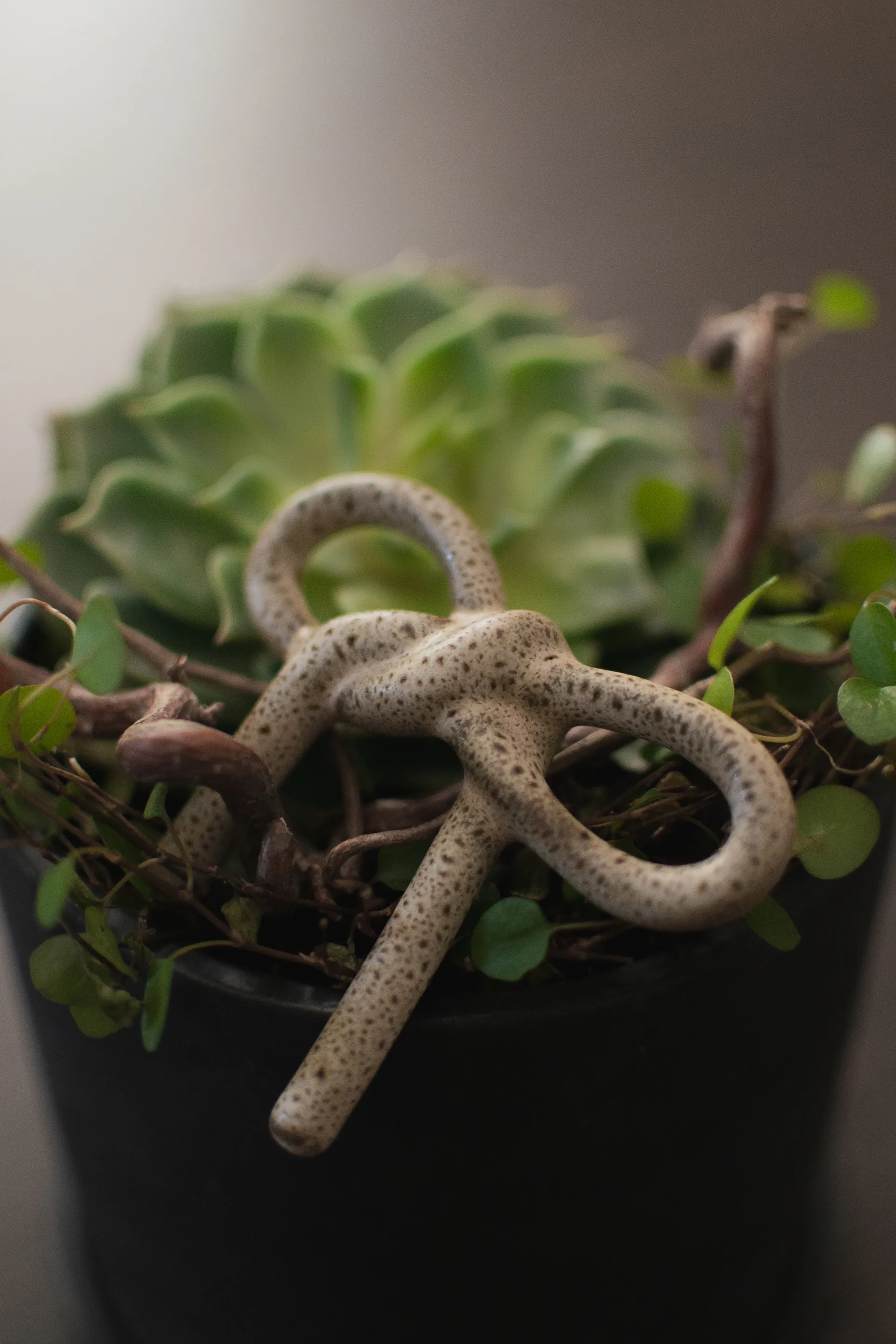 Bow blomsterdekoration, Beige DBKD