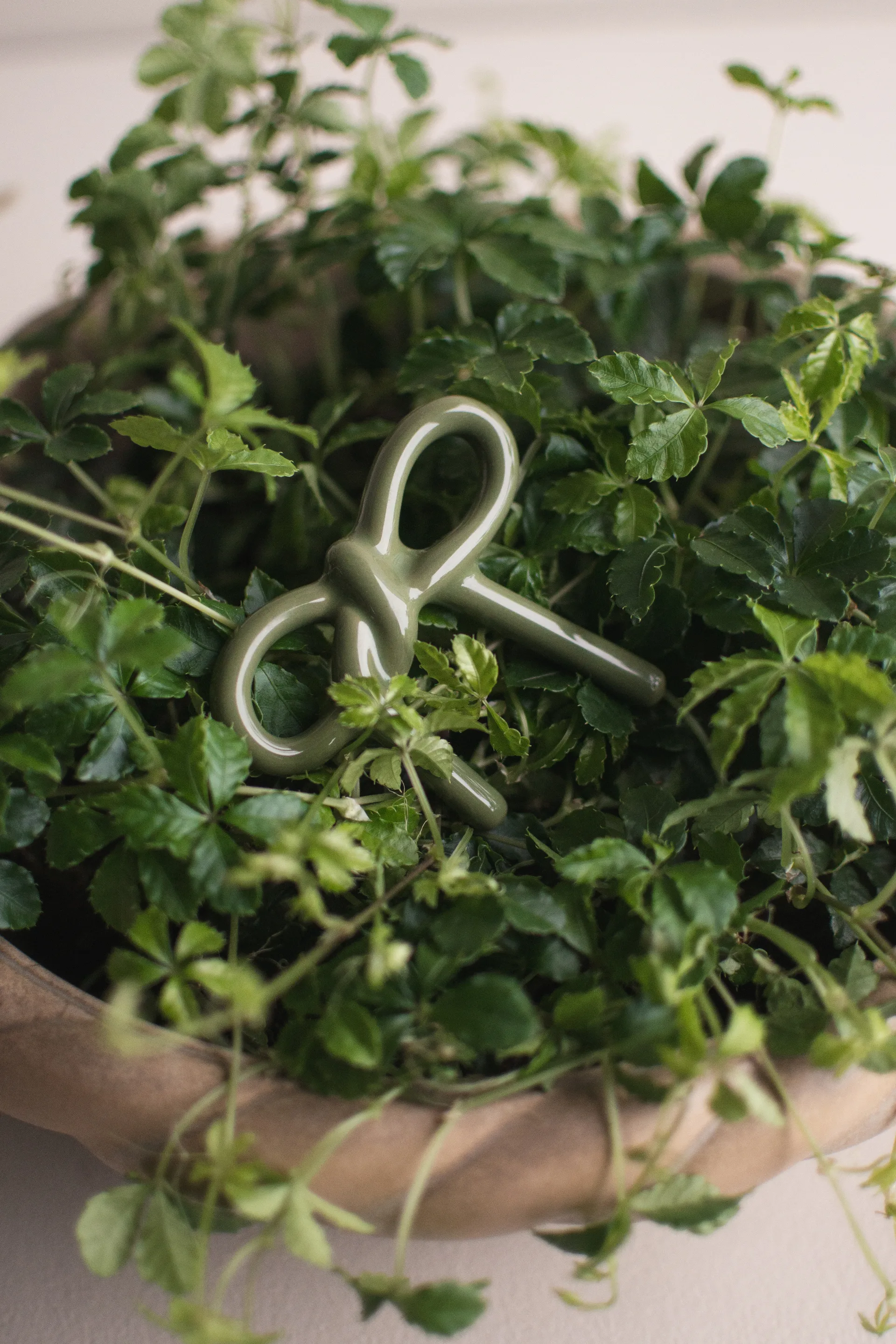 Bow blomsterdekoration, Shiny green DBKD