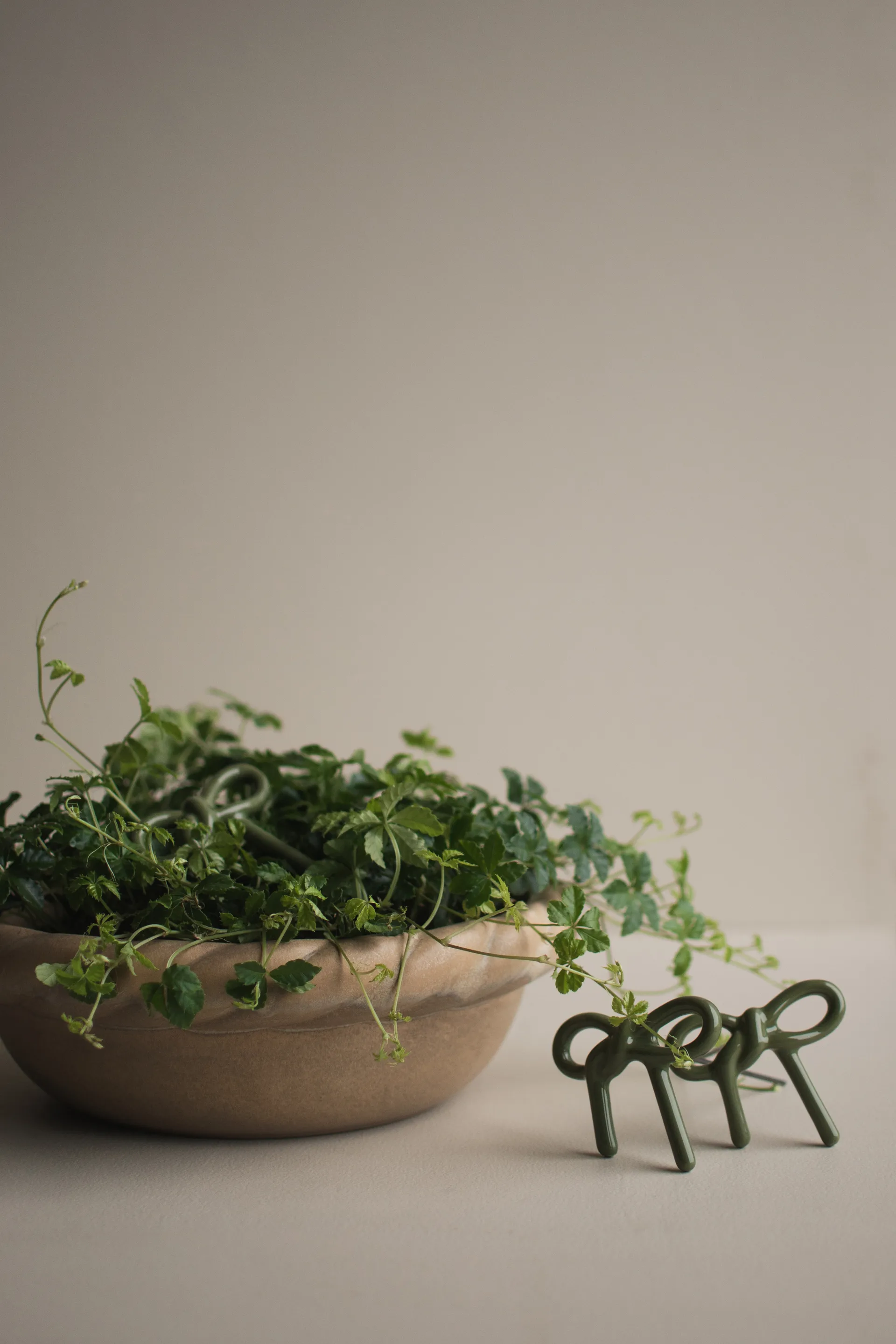 Bow blomsterdekoration, Shiny green DBKD