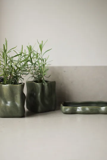 Herb krukke 3 dele - Moss - DBKD