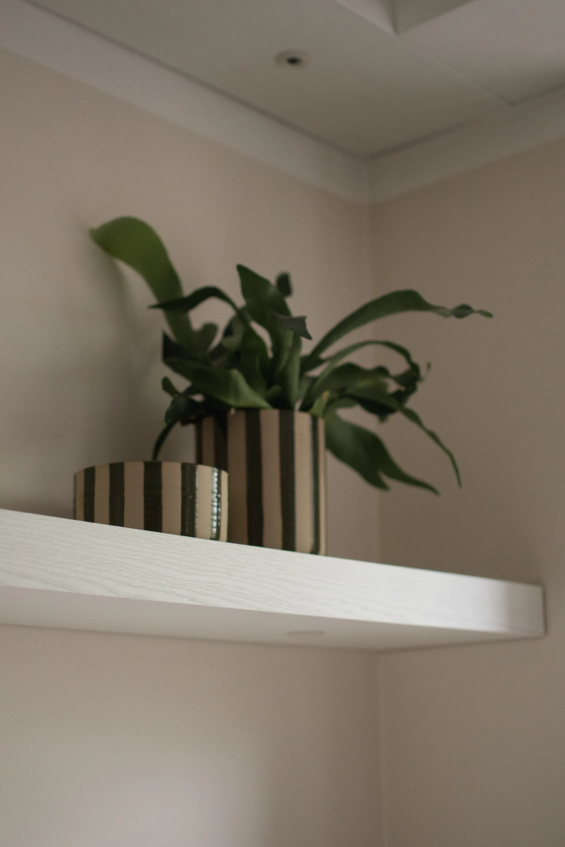 Line dekorationsskål Ø16 cm, Stripe Green DBKD