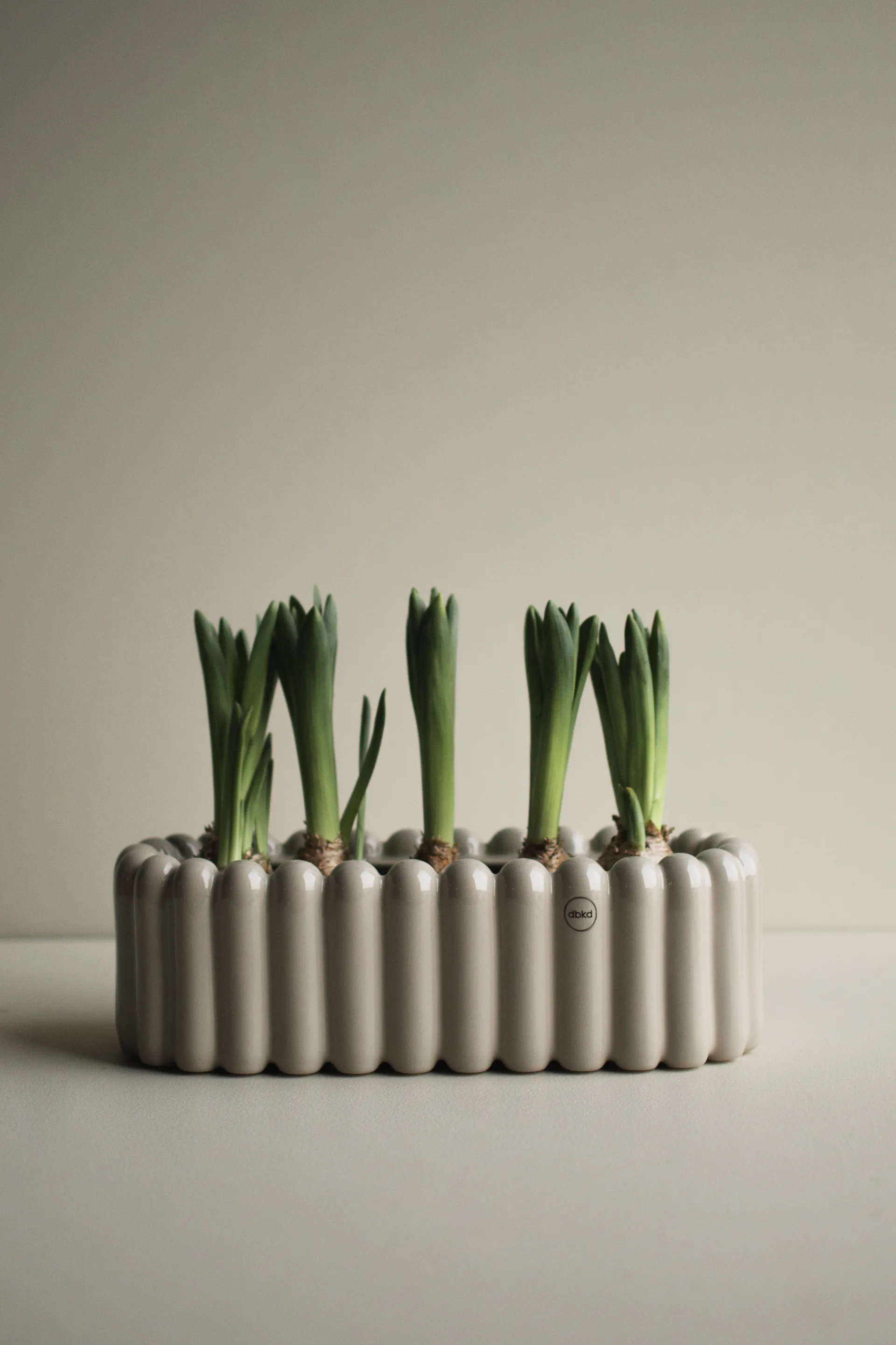 Mist krukke oval small 35 cm, Shiny mole DBKD