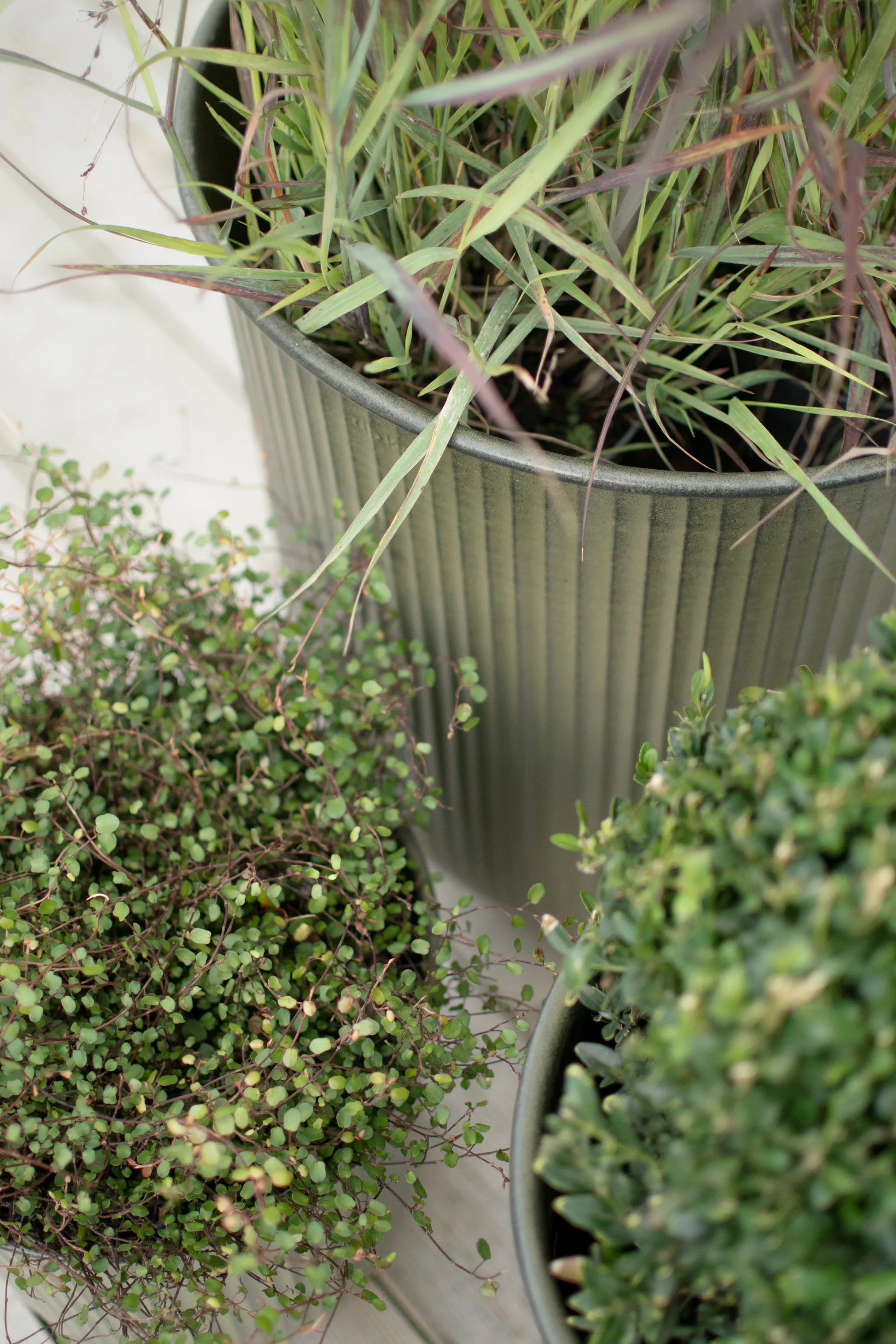 Out stripe krukke 3 dele, Green DBKD