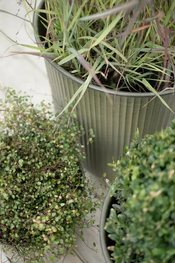 Out stripe krukke 3 dele - Green - DBKD