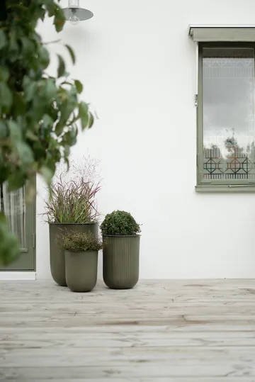 Out stripe krukke 3 dele - Green - DBKD