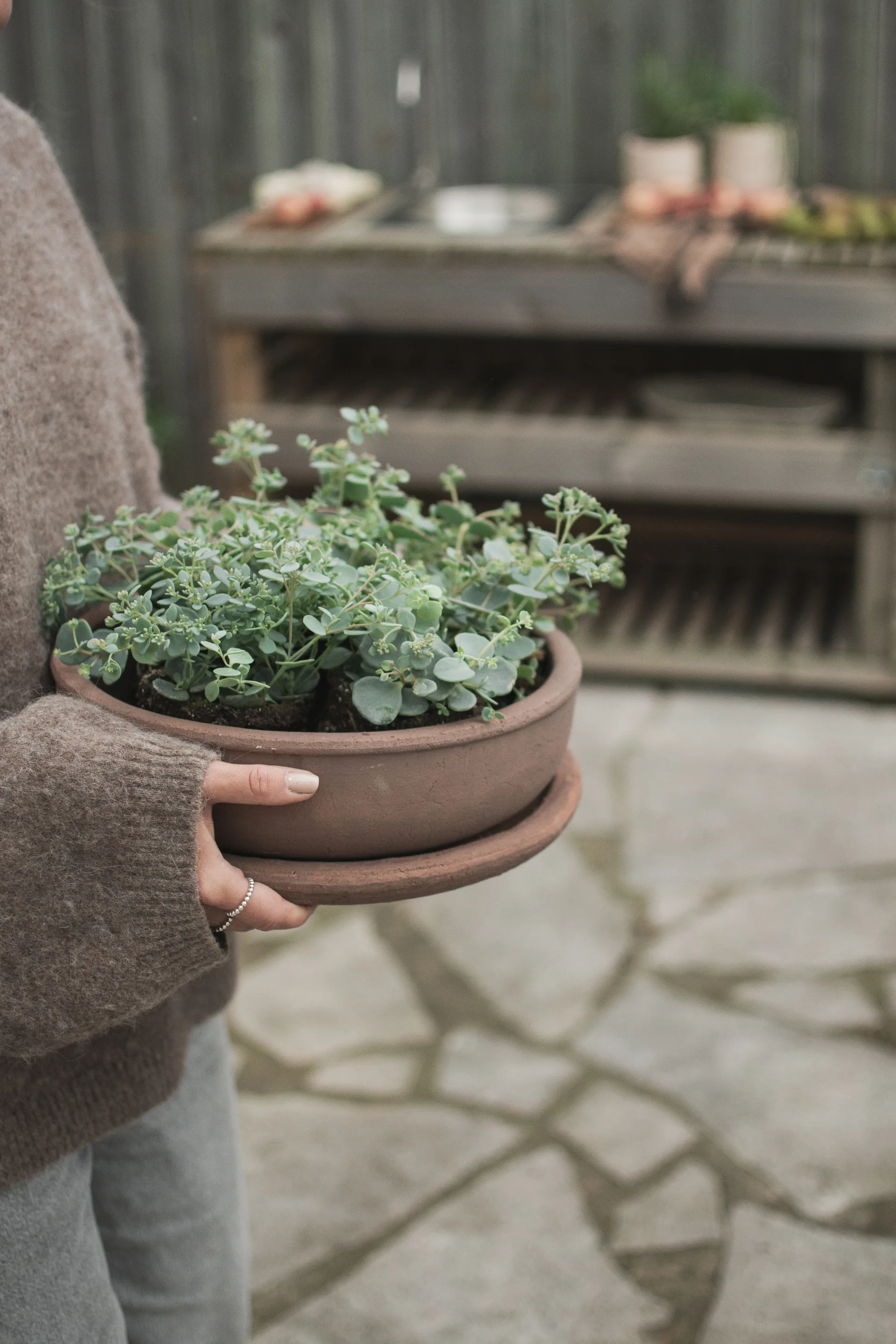 Terra bowl krukke, Brown, Ø30x10,5 cm DBKD
