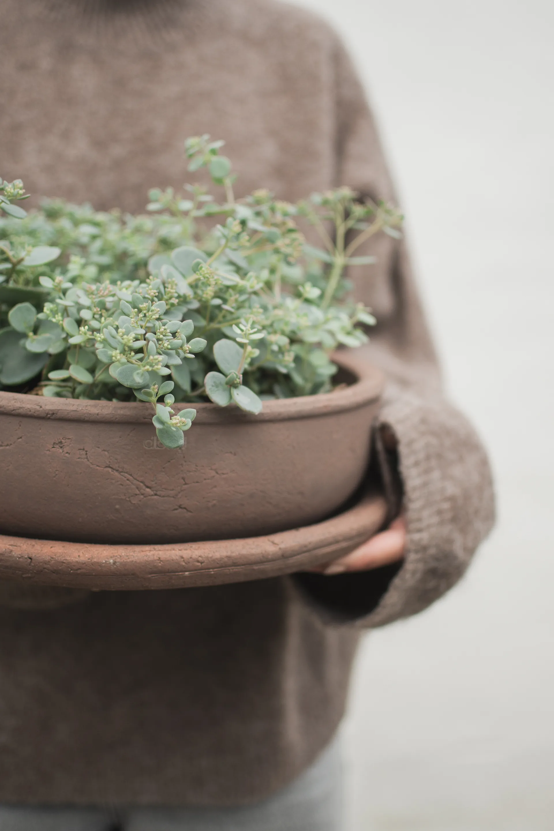 Terra bowl krukke, Brown, Ø30x10,5 cm DBKD