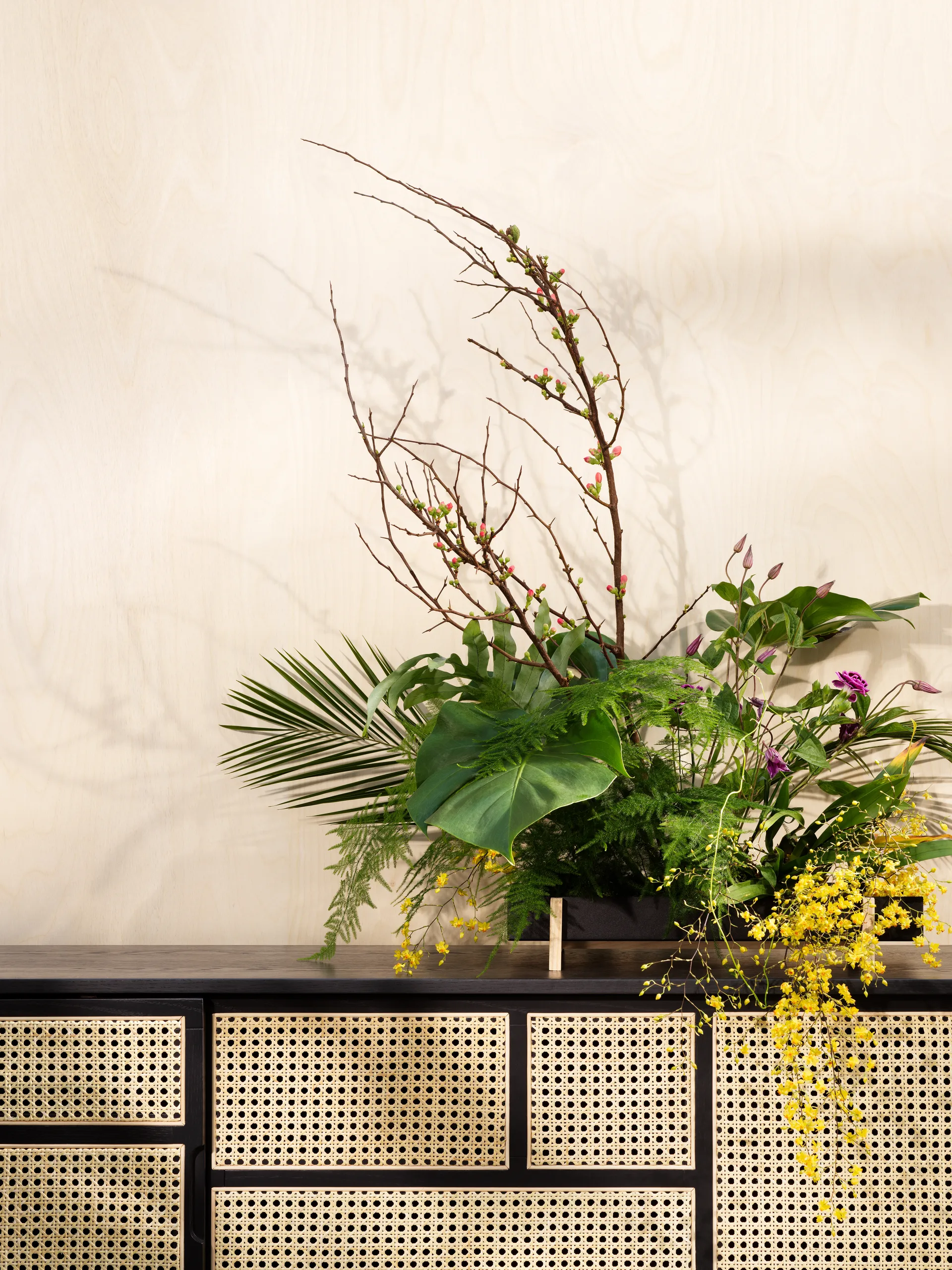 Air sideboard low, sort, rattan Design House Stockholm