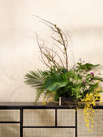 Air sideboard low - sort, rattan - Design House Stockholm