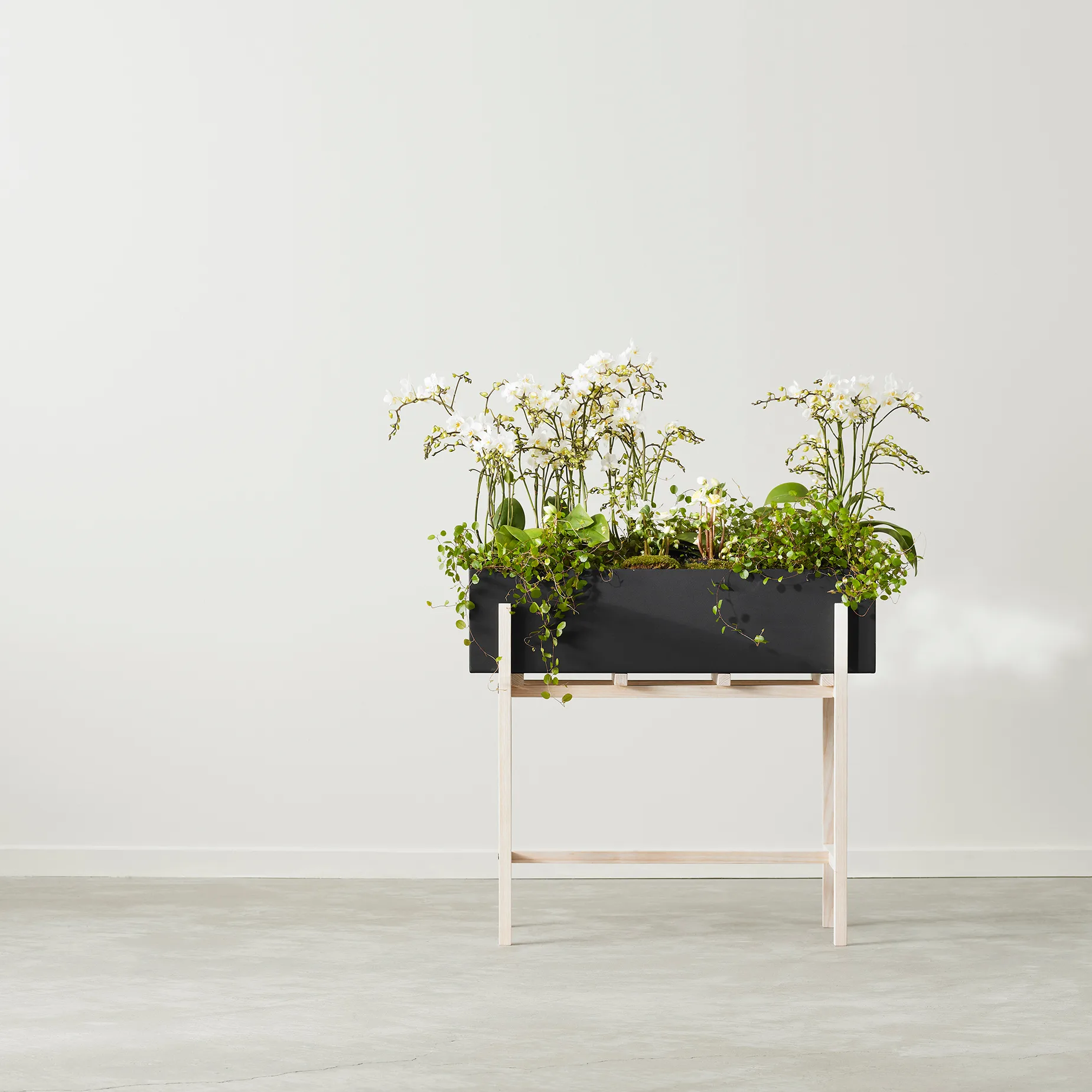 Botanic flower stand, Sort asketræ Design House Stockholm