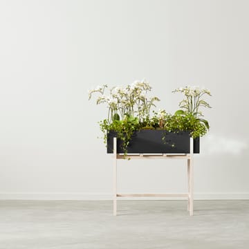 Botanic flower stand - Sort asketræ - Design House Stockholm