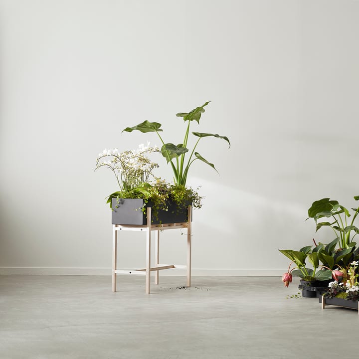 Botanic flower stand - Sort asketræ - Design House Stockholm