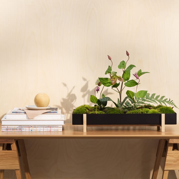 Botanic Flower Tray blomsterkasse, sort Design House Stockholm