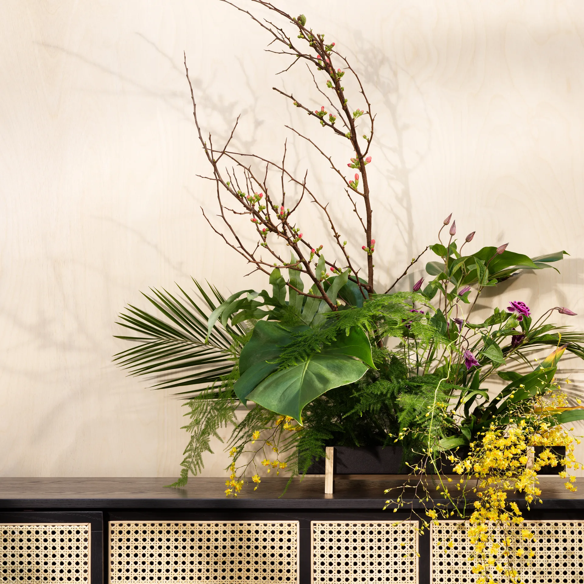 Botanic Flower Tray blomsterkasse, sort Design House Stockholm