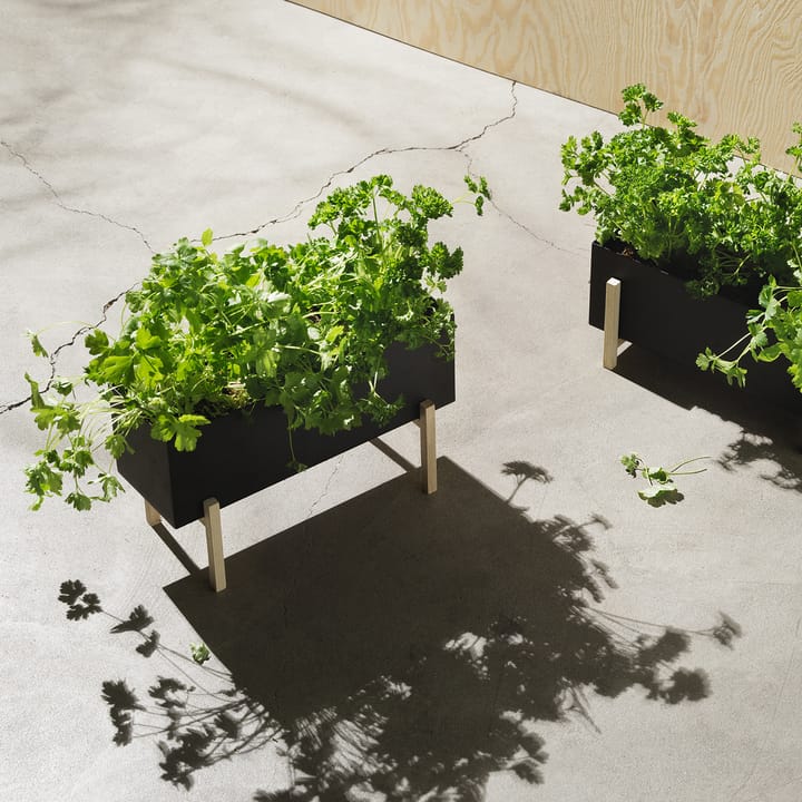 Botanic herb box, Sort/Ask Design House Stockholm
