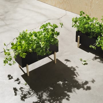 Botanic herb box - Sort/Ask - Design House Stockholm