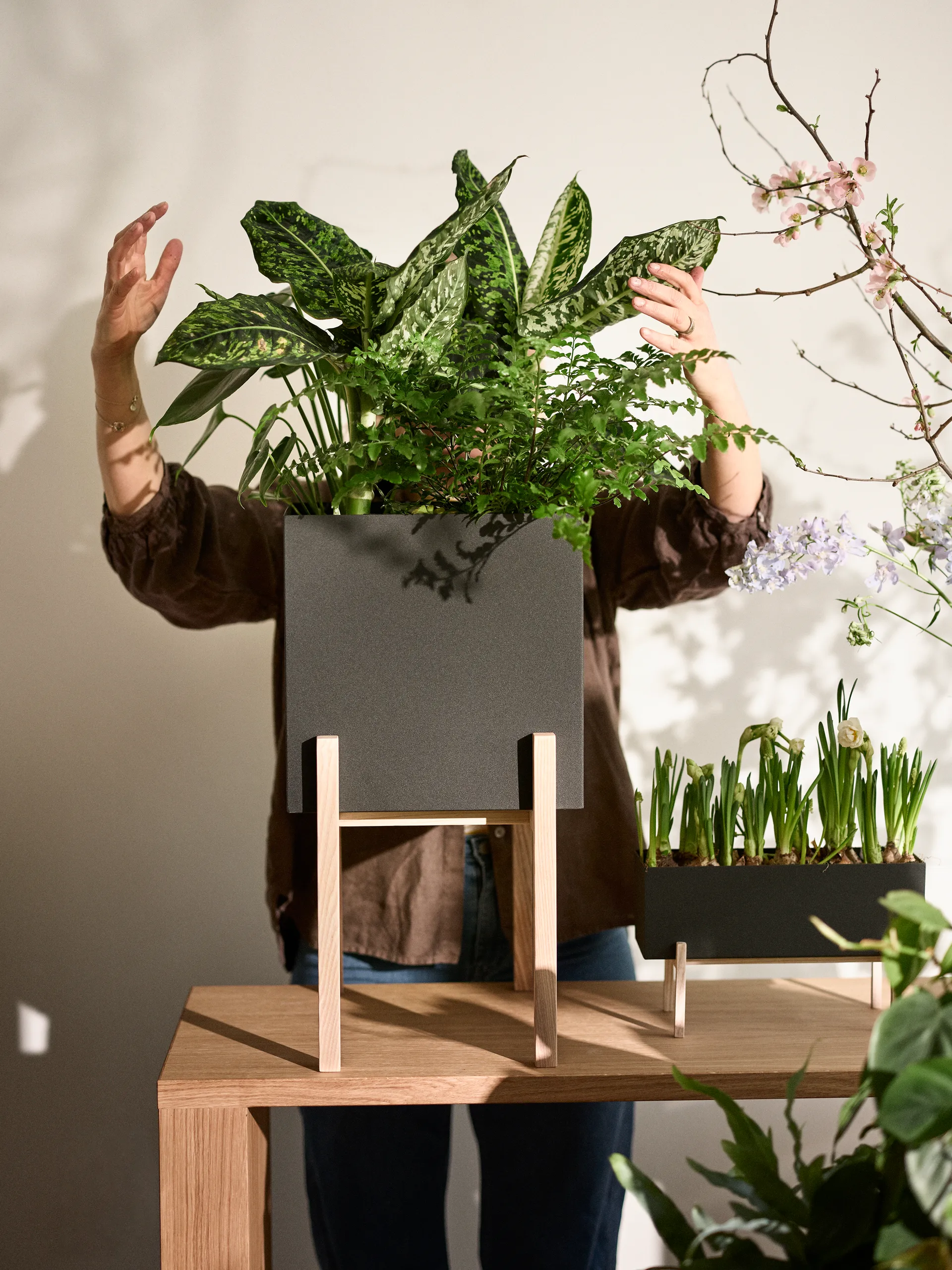 Botanic pedestal krukke, Sort/Ask Design House Stockholm