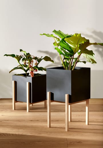 Botanic pedestal krukke - Sort/Ask - Design House Stockholm