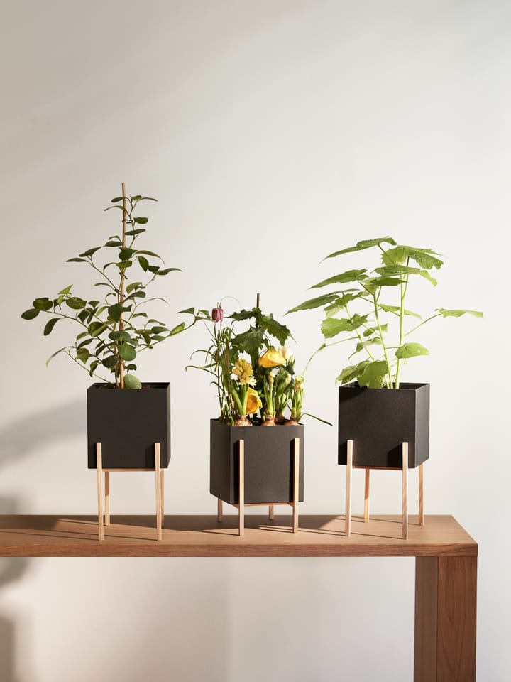 Botanic pedestal krukke - Sort/Ask - Design House Stockholm