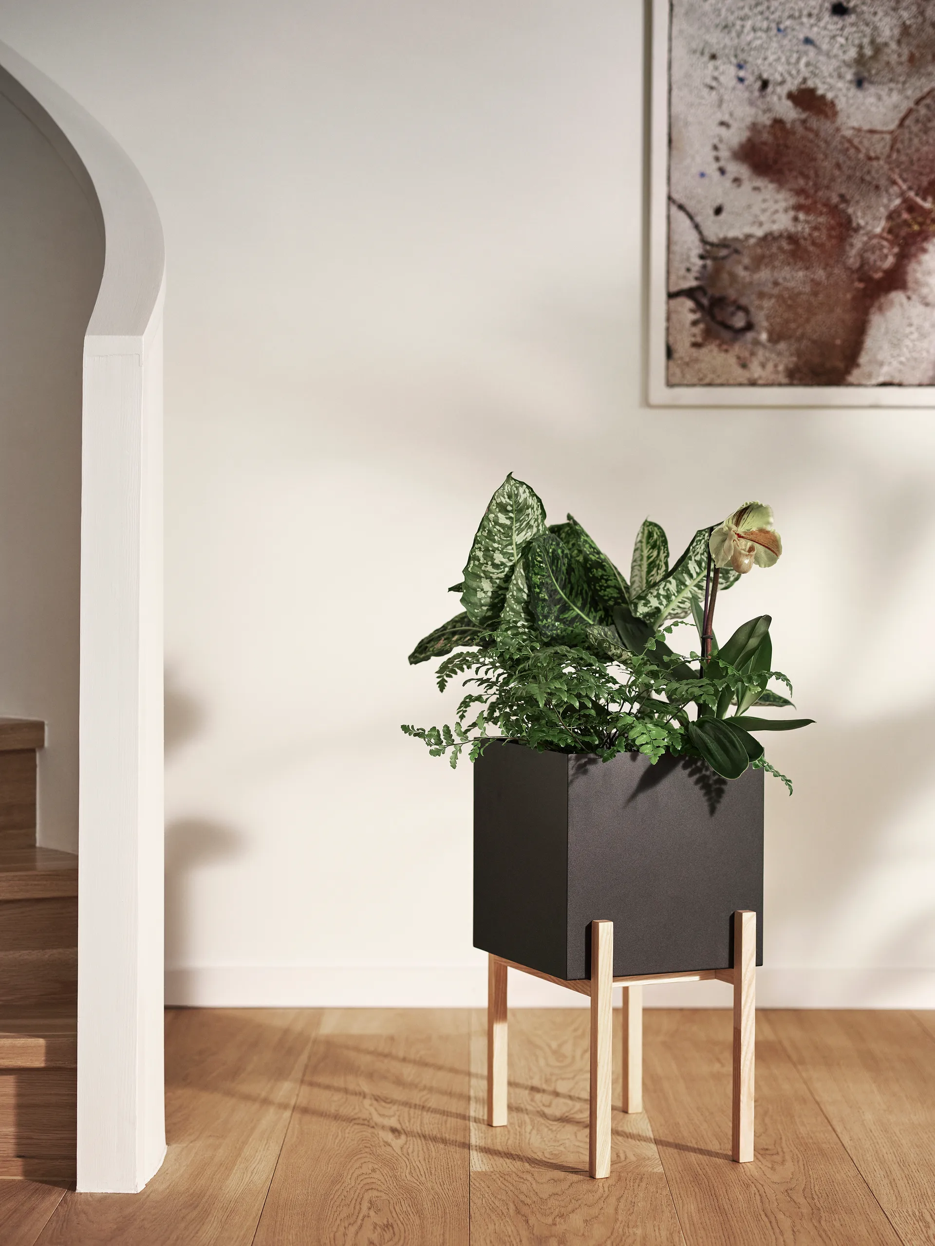 Botanic pedestal krukke, Sort/Ask Design House Stockholm
