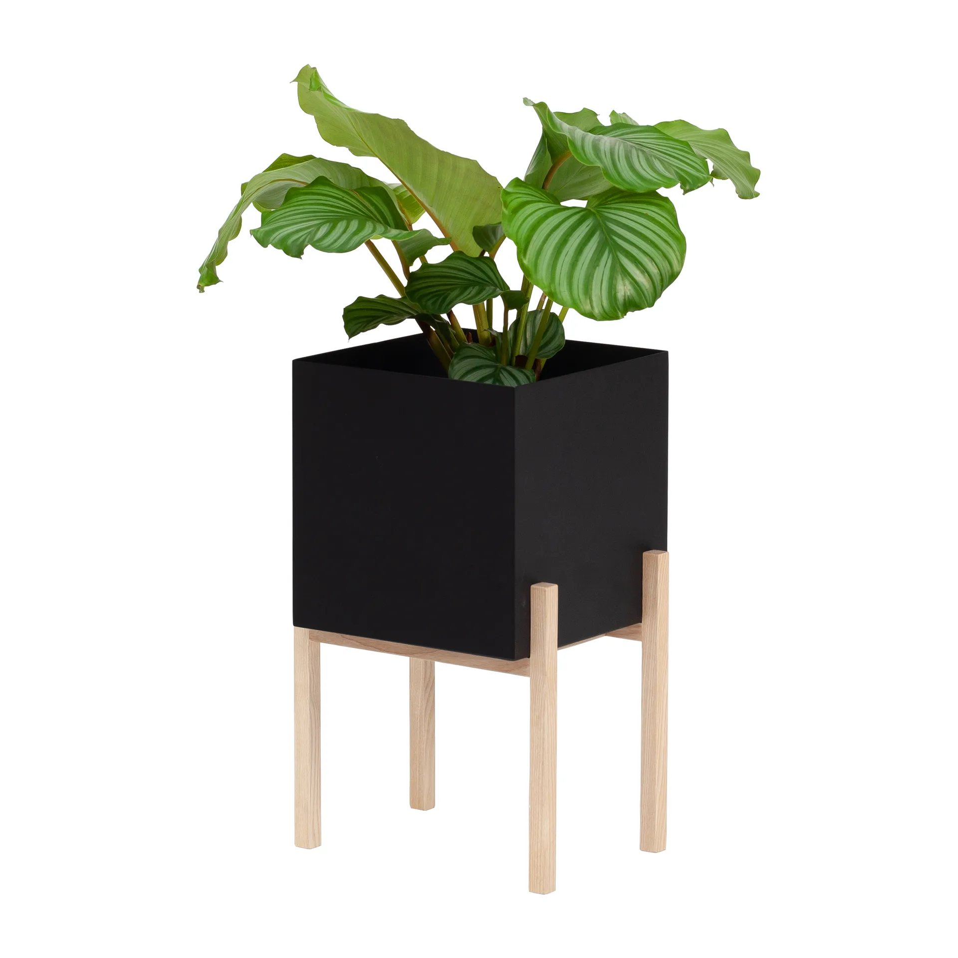Botanic pedestal krukke, Sort/Ask Design House Stockholm