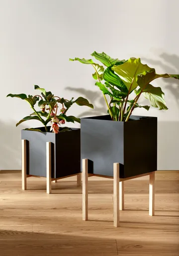 Botanic pot krukke - Sort/Ask - Design House Stockholm