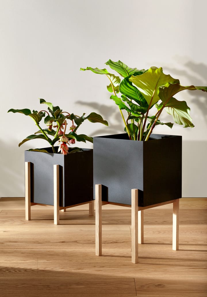 Botanic pot krukke - Sort/Ask - Design House Stockholm