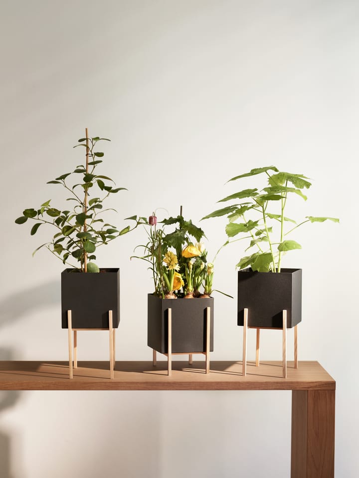 Botanic pot krukke - Sort/Ask - Design House Stockholm