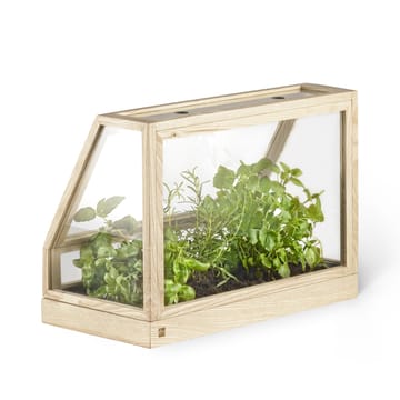 Greenhouse mini drivhus - ask - Design House Stockholm