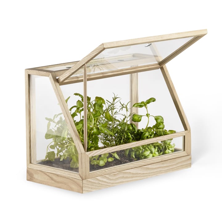 Greenhouse mini drivhus - ask - Design House Stockholm